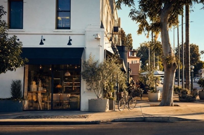 A white corner building with a dark awning and big shop windows, a bicycle and olive trees outside and palms along the street