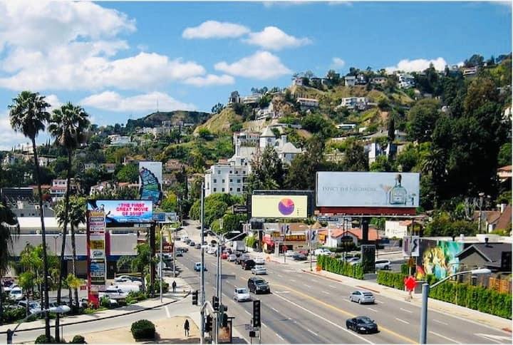 AI-powered search helping West Hollywood businesses improve online visibility.